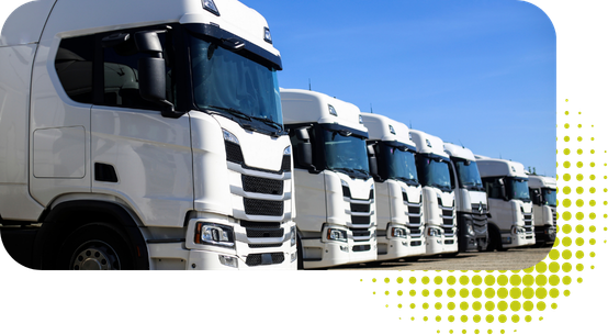 Curso para sacarse el carnet C en Alaquàs