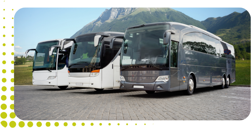 Curso para sacarse el carnet D en Alaquàs